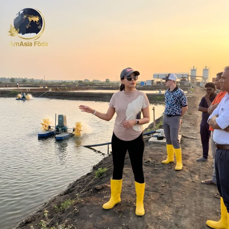 AmAsia Fōda food safety consulting for exporters to USA